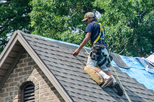 Best Roof Gutter Cleaning  in Clarksville, IN